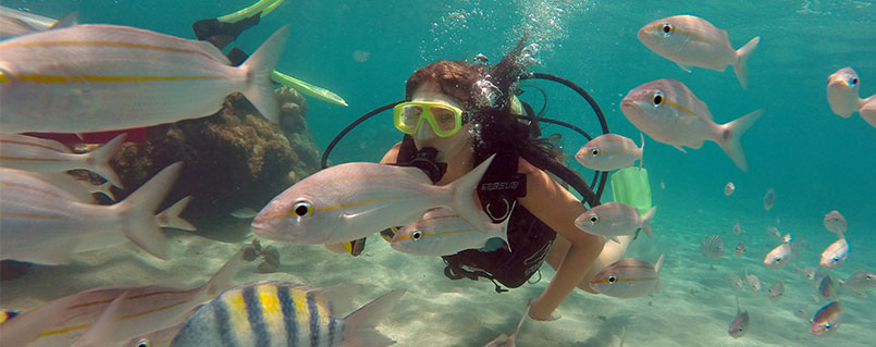 Scuba Diving | Maracajaú Diver